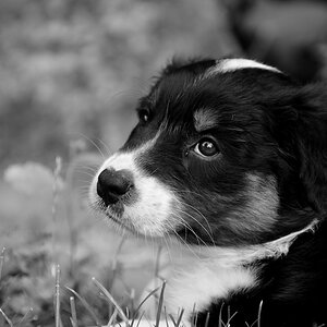 Nala Preun -108.jpg