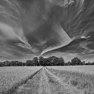 Cirrus 1.jpg