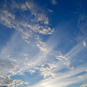 NZ6_0391.jpg