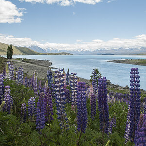 Lake Tekapo und Südalpen.jpg