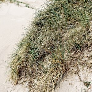 TZ_CNV000016.jpg