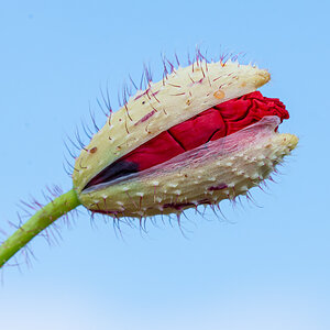 OF2_29849.jpg