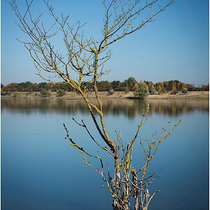 Baggersee.jpg