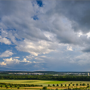 D75_0373.jpg