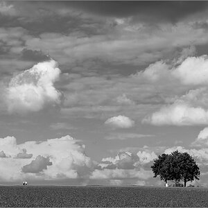 D75_0314.jpg