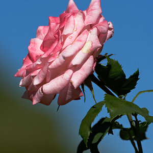 72D_7660.jpg