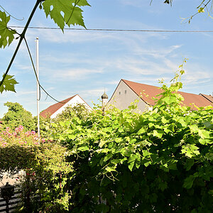 DSC_10124.jpg
