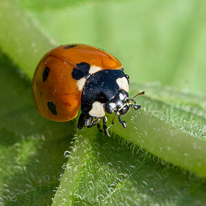 OF2_29829.jpg