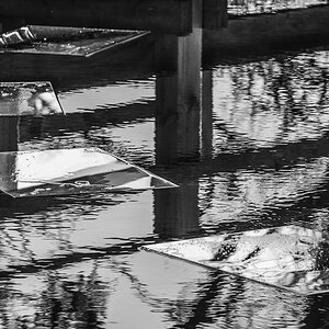 Wasser - Spiegel.jpg