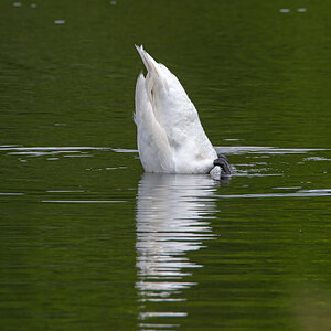 OF2_30444.jpg