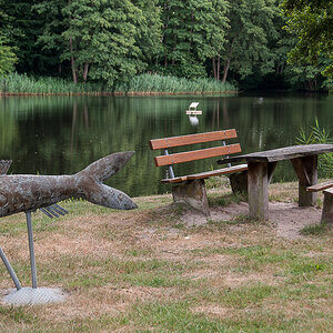 Fischbank (1 von 1).jpg
