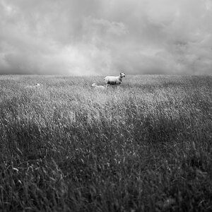 DSC_0693DXO_2.jpg