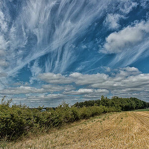 Cirrus (1 von 1).jpg
