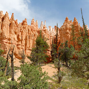 DSC_0858_DxO_01.jpg