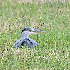 DSC_4576.jpg