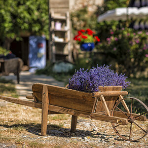 _D8E6542-Bearbeitet-Bearbeitet-2-Bearbeitet.jpg