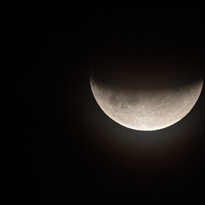 OF2_30636.jpg