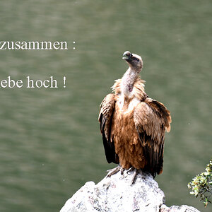 Geburtstag Kopie.jpg