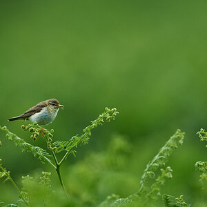 DSC_4173 1.jpg