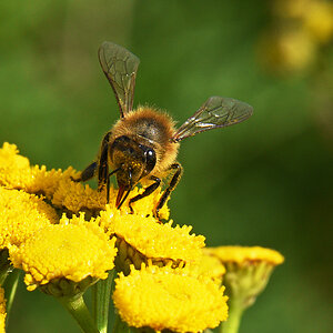 811_3849at4l10fks30p1f.jpg