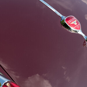 Jaguar XK 140 OTS