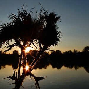 DSCN3453.jpg