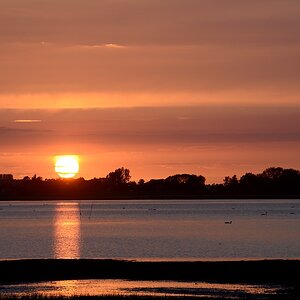 DSC_9177a.jpg