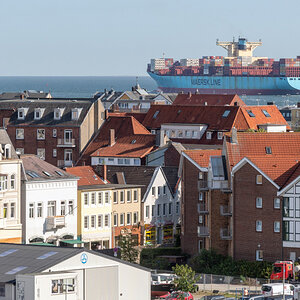 D50_4660.JPG