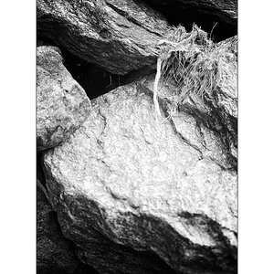 T19D4F_1375.jpg