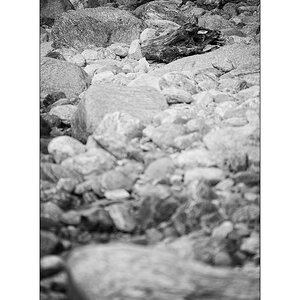 T19D4F_1384.jpg