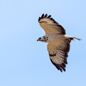OF2_30649.jpg