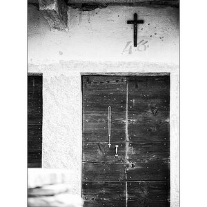 T19D4F_0821.jpg
