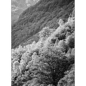 T19D4F_0878.jpg