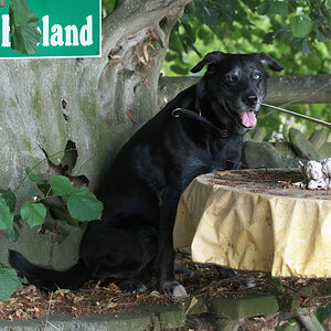 Landbank