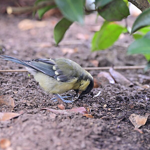 NZ6_3017.jpg