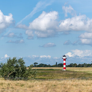 190719 Alkor-27.jpg