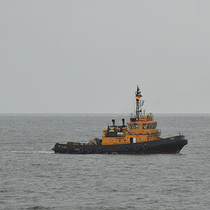 DSC_6511.JPG