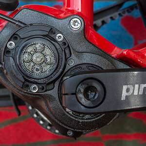 Pinion 1.jpg
