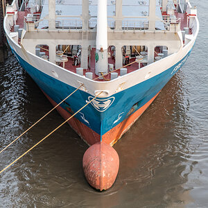 190730 Freya-2.jpg