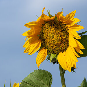 OF2_30893.jpg