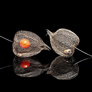 physalis.jpg