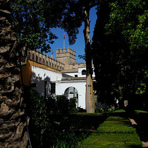 DSD_8500.jpg