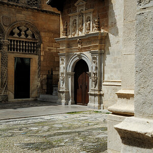 DSD_8656.jpg
