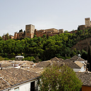 DSD_8713.jpg