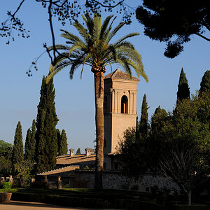 DSD_8770.jpg
