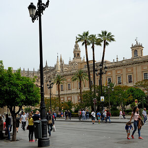 DSD_9046.jpg