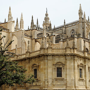 DSD_9049.jpg