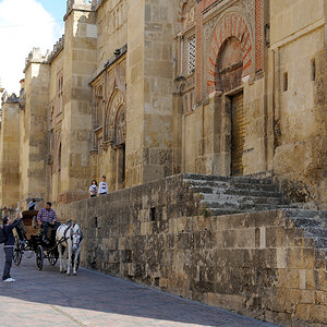 DSD_9826.jpg