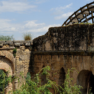 DSD_9915.jpg