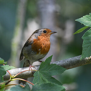 DSC_5163.jpg